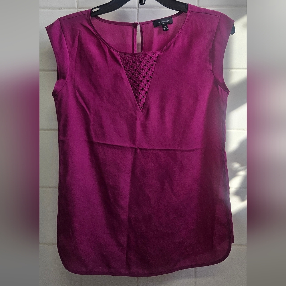 The Limited Blouse